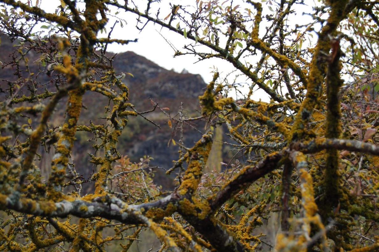 Un rincón especial en VALL DE BOI Pla de l'Ermita Exterior foto